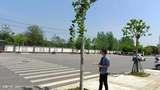 咸安区经济开发区通江大道绿化补植工程1.jpg